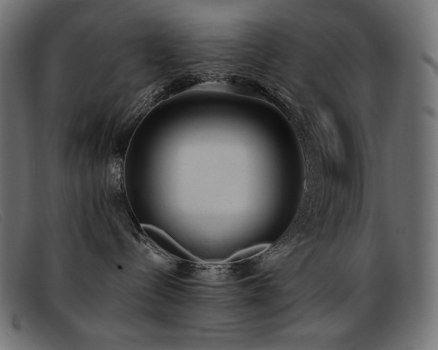 X0000093360288200710111500