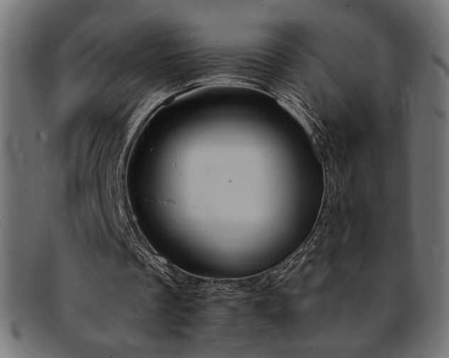 X0000093360289200710111500