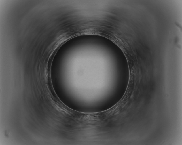 X0000093360290200710111500