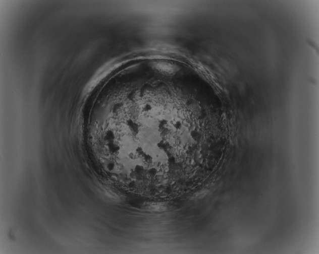 X0000093360295200710111459