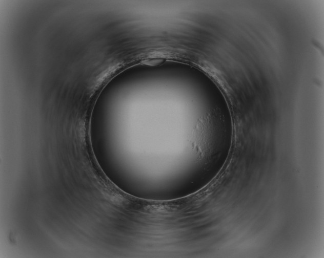 X0000093360297200710111459