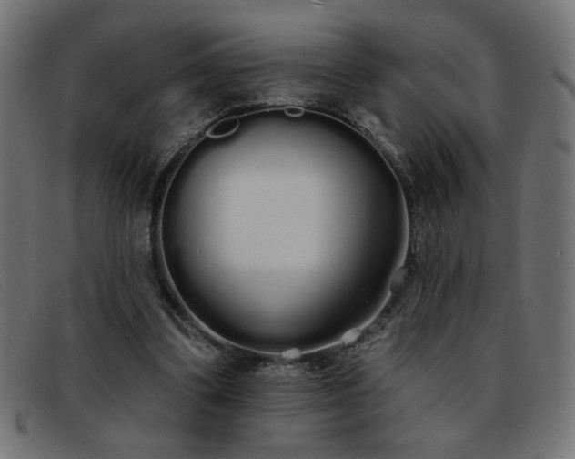 X0000093360299200710111459