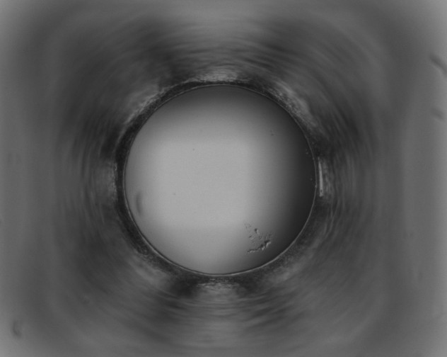 X0000093360300200710111459