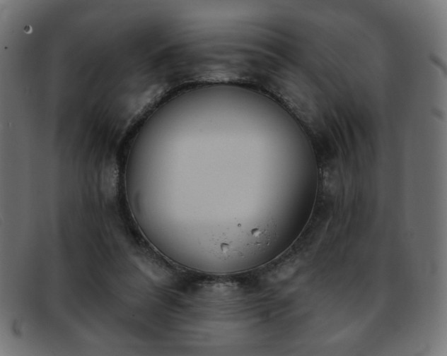 X0000093360304200710111459