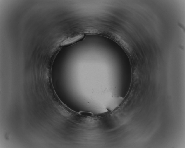 X0000093360305200710111459