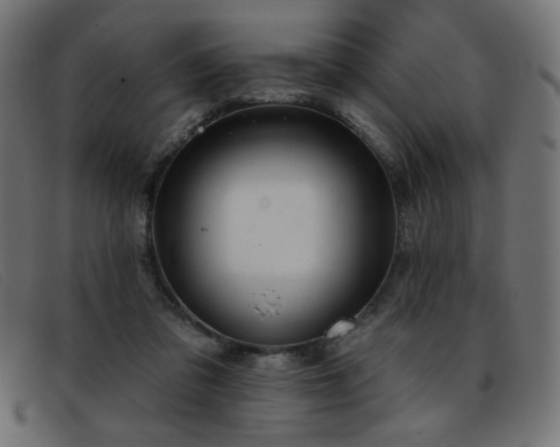 X0000093360309200710111459
