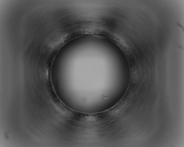 X0000093360310200710111459