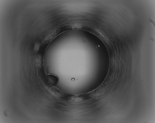 X0000093360311200710111459