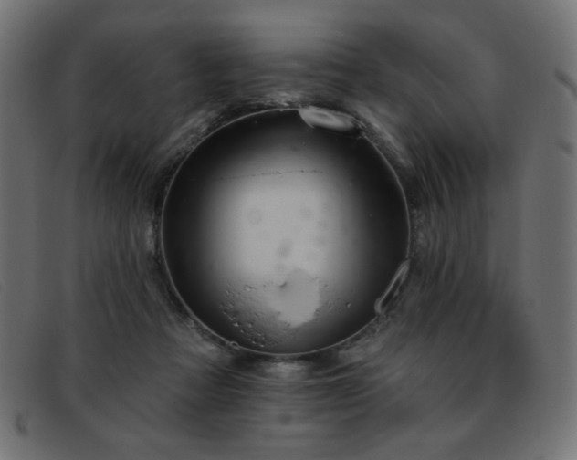 X0000093360313200710111459