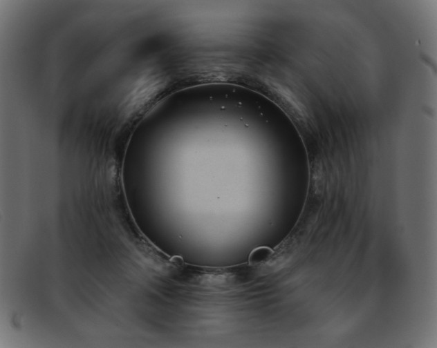 X0000093360314200710111459