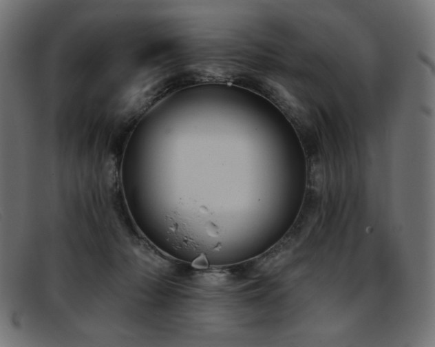X0000093360318200710111459