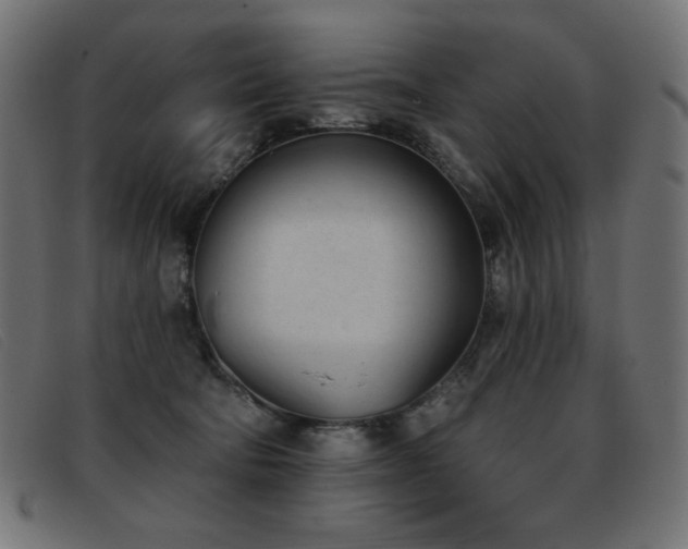 X0000093360322200710111459