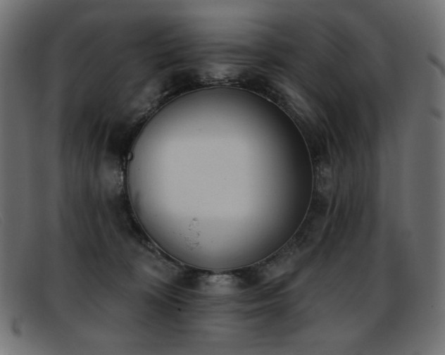 X0000093360324200710111459