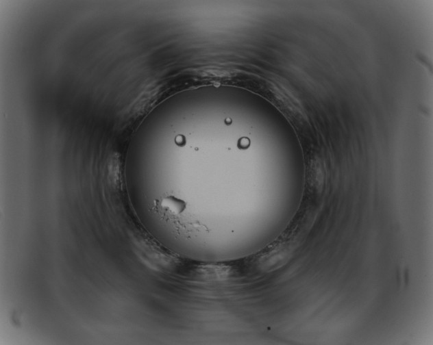 X0000093360328200710111459