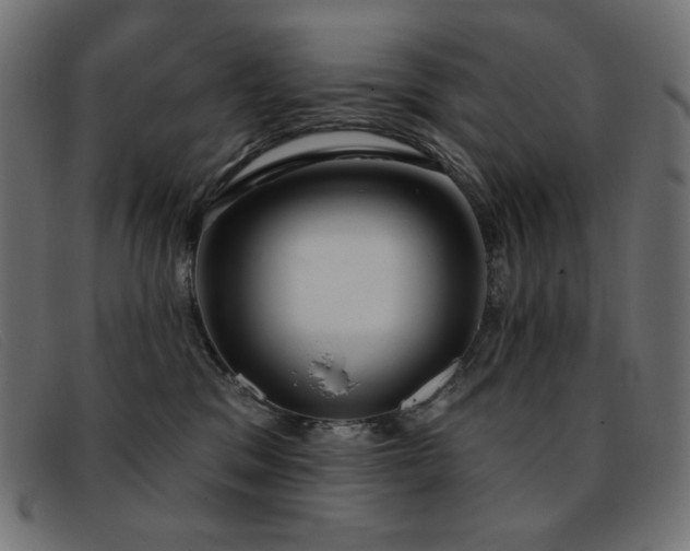X0000093360329200710111459