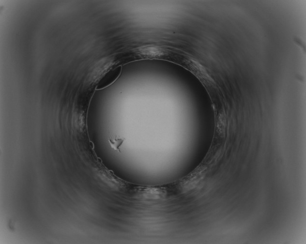 X0000093360330200710111459
