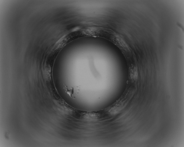 X0000093360332200710111459
