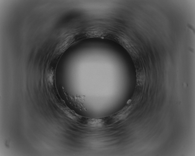 X0000093360334200710111459