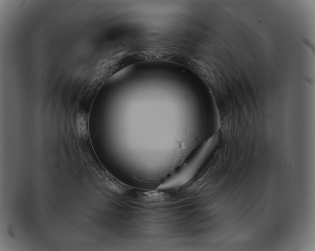 X0000093360335200710111459