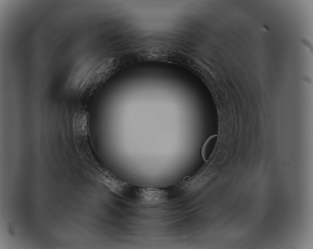 X0000093360336200710111459