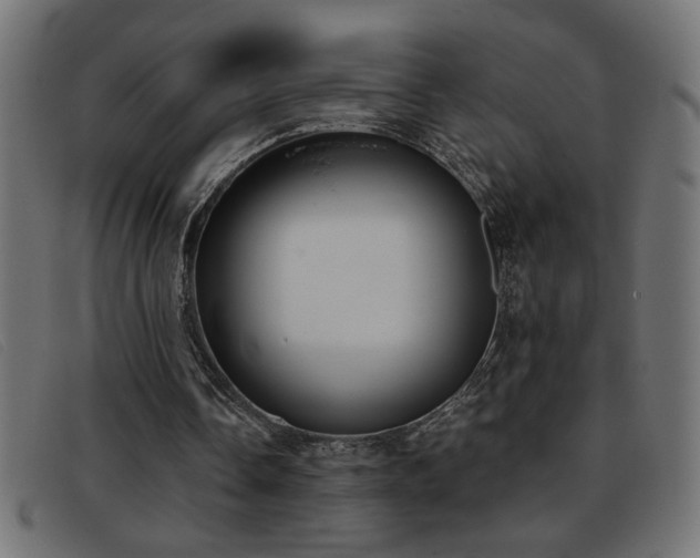 X0000093360338200710111458