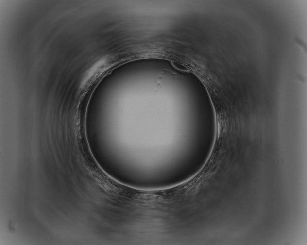 X0000093360339200710111458