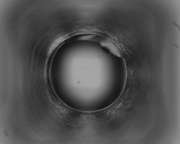 X0000093360340200710111458