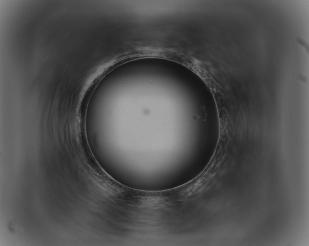 X0000093360342200710111458