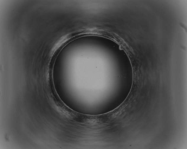 X0000093360344200710111458