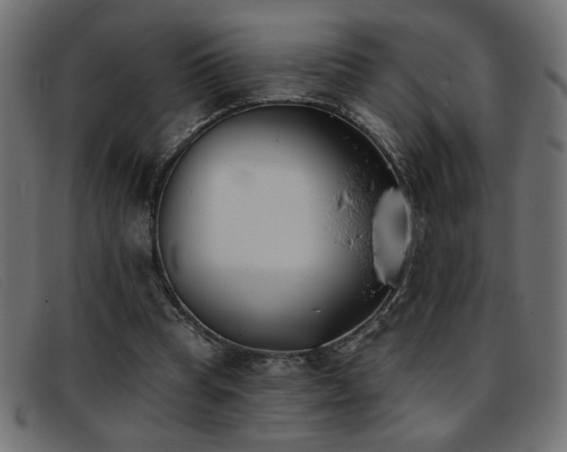 X0000093360345200710111458