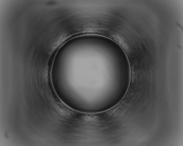 X0000093360346200710111458