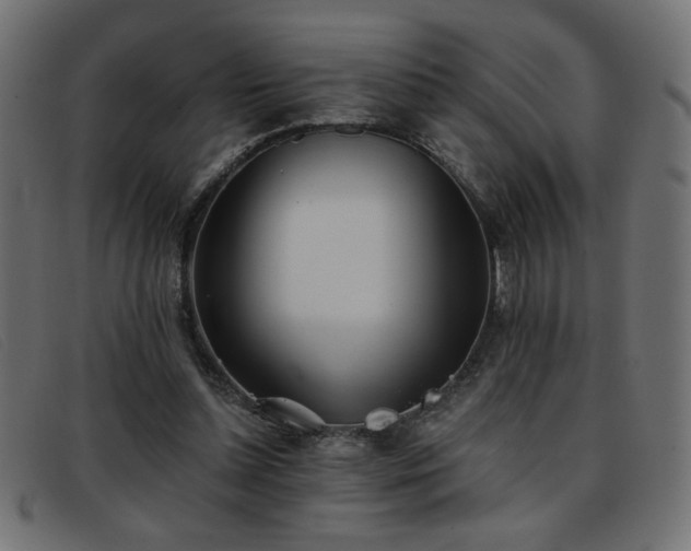 X0000093360348200710111459
