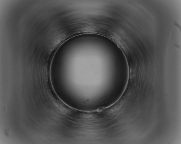 X0000093360349200710111459
