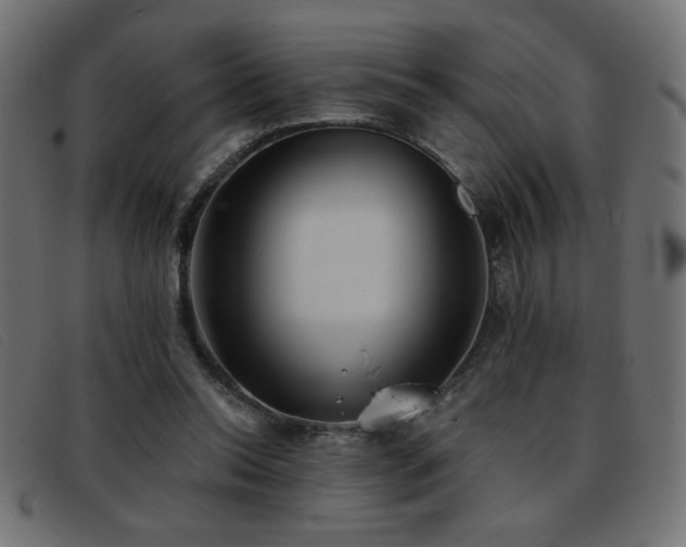 X0000093360350200710111459