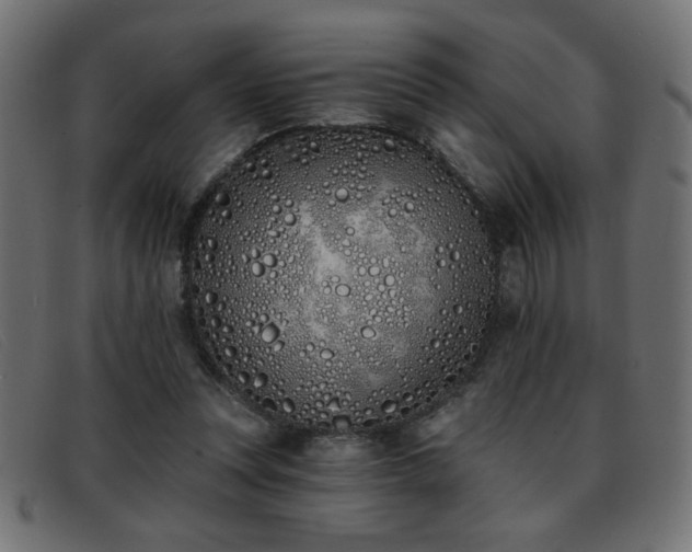 X0000093360351200710111459