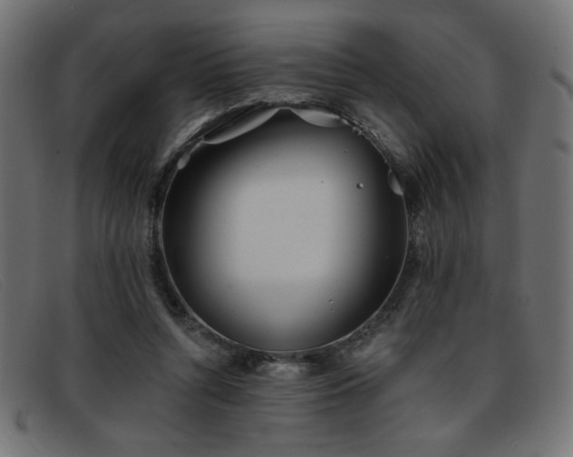 X0000093360352200710111459
