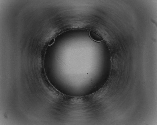 X0000093360354200710111459