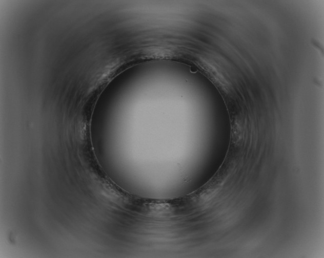 X0000093360355200710111459