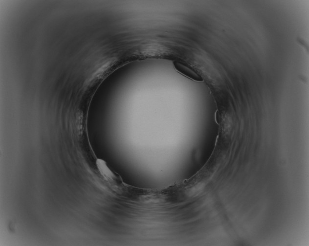 X0000093360356200710111459