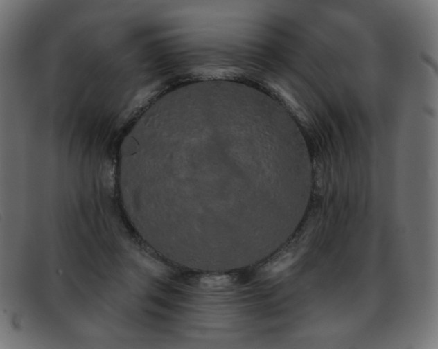 X0000093360357200710111459