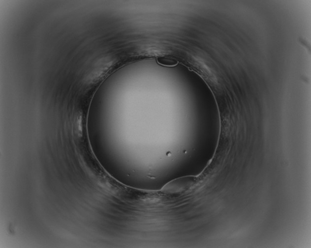 X0000093360358200710111459