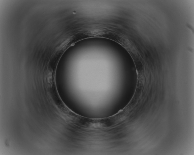 X0000093360360200710111459