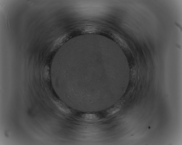 X0000093360361200710111459