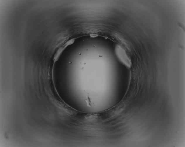 X0000093360362200710111459