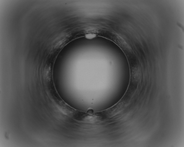 X0000093360364200710111459