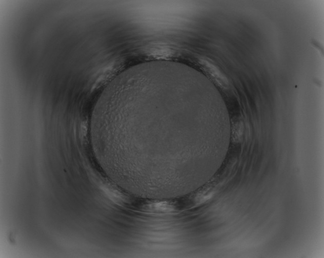 X0000093360365200710111459