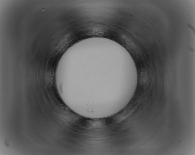 X0000093360370200710111459