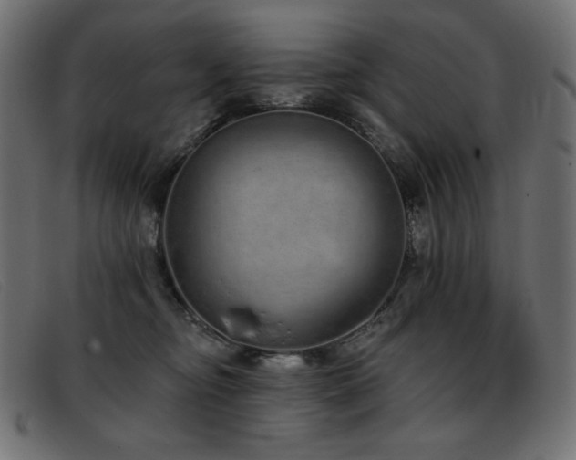 X0000093360374200710111459