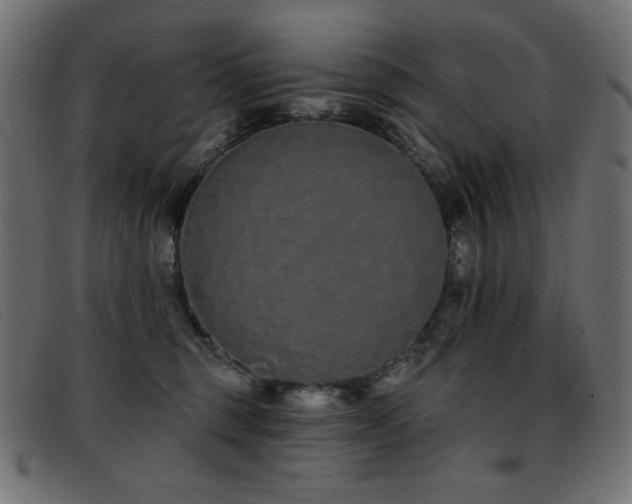 X0000093360375200710111459
