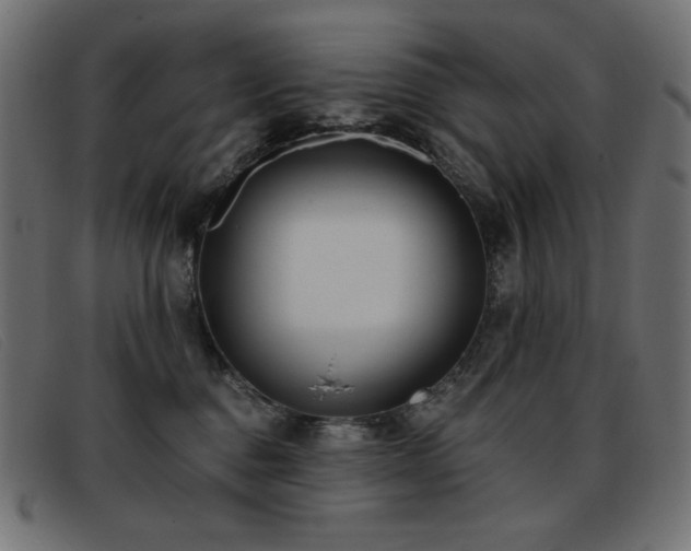X0000093360376200710111459